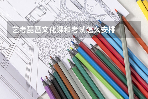艺考琵琶文化课和考试怎么安排