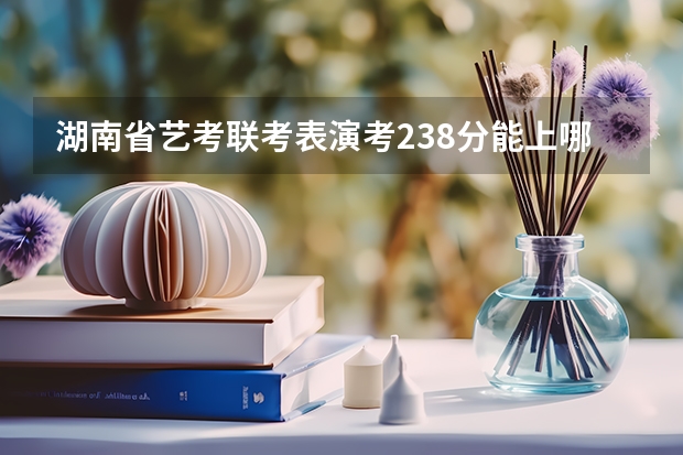 湖南省艺考联考表演考238分能上哪些大学