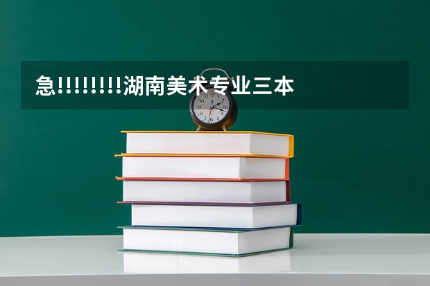 急!!!!!!!!湖南美术专业三本中哪个学校好