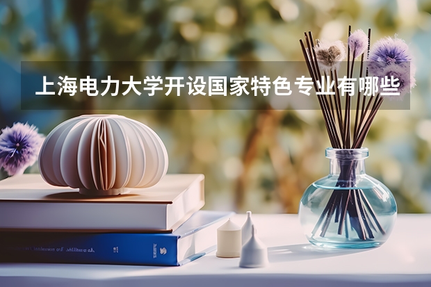 上海电力大学开设国家特色专业有哪些