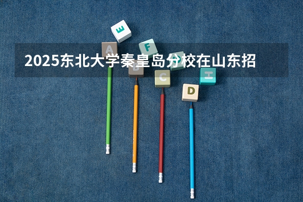 2025东北大学秦皇岛分校在山东招生计划预测
