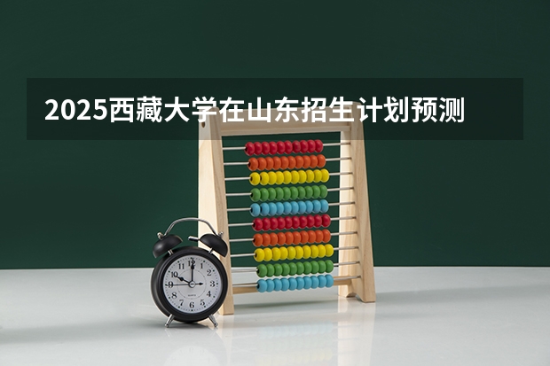 2025西藏大学在山东招生计划预测