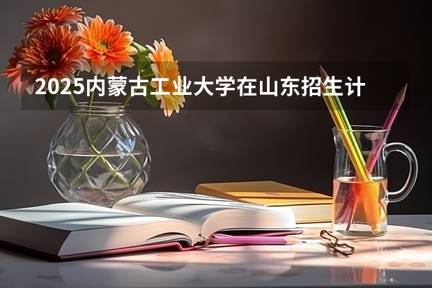 2025内蒙古工业大学在山东招生计划预测