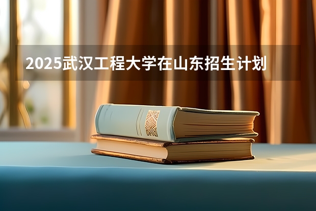 2025武汉工程大学在山东招生计划预测