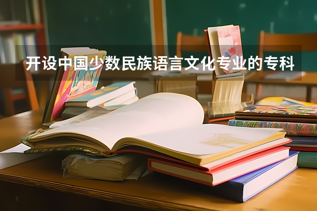开设中国少数民族语言文化专业的专科（高职）类大学有哪些