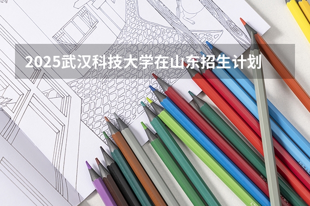 2025武汉科技大学在山东招生计划预测