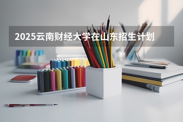 2025云南财经大学在山东招生计划预测