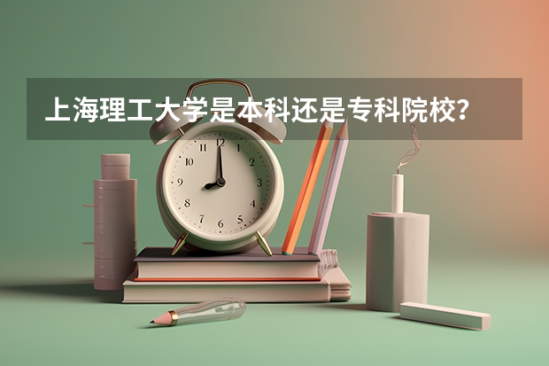 上海理工大学是本科还是专科院校？