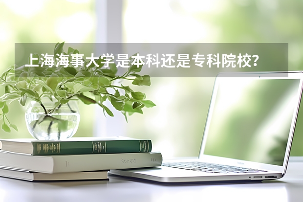 上海海事大学是本科还是专科院校？