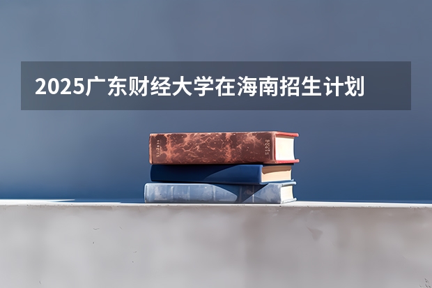2025广东财经大学在海南招生计划人数