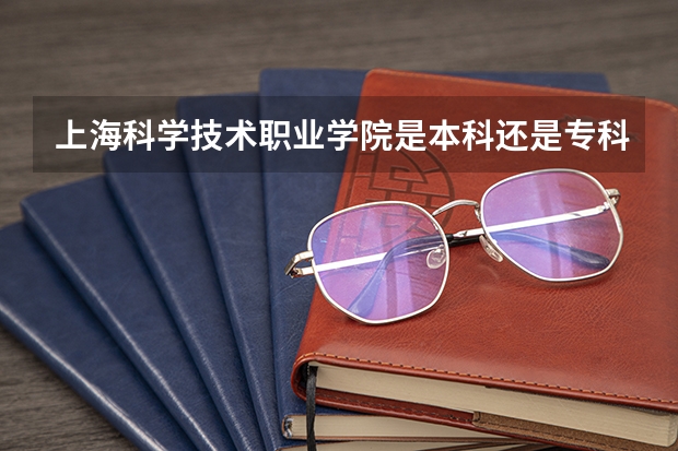 上海科学技术职业学院是本科还是专科院校？