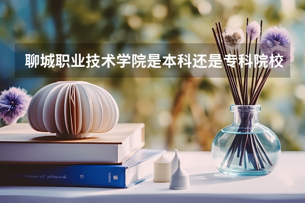 聊城职业技术学院是本科还是专科院校？