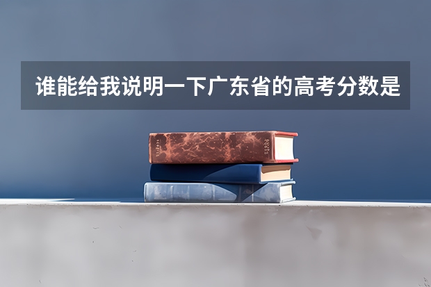 谁能给我说明一下广东省的高考分数是什么意思？什么术科、3A、2B的…