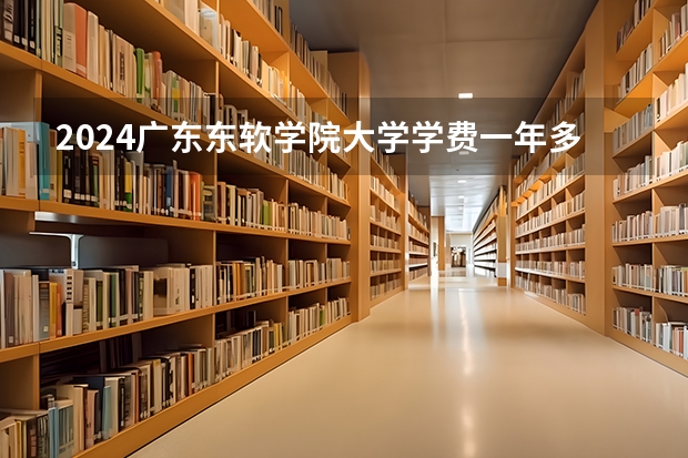 2024广东东软学院大学学费一年多少钱？