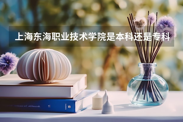 上海东海职业技术学院是本科还是专科院校？