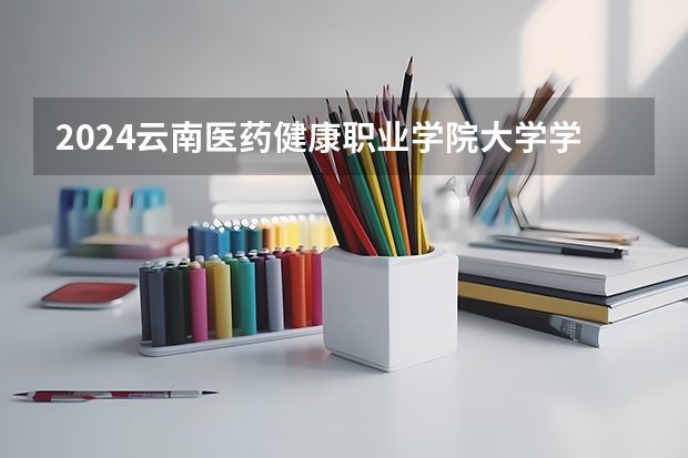 2024云南医药健康职业学院大学学费一年多少钱？