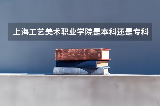 上海工艺美术职业学院是本科还是专科院校？