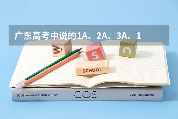 广东高考中说的1A、2A、3A、1B、2B、3B是怎么划分分数的?