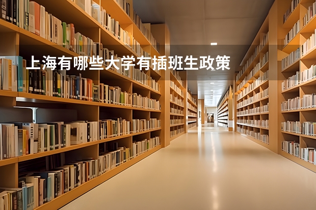 上海有哪些大学有插班生政策