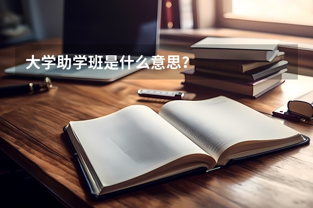 大学助学班是什么意思？
